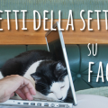 I post più letti della settimana sulla nostra pagina Facebook